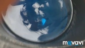 Метиленовая синья очень хороший препарат для профилактики птицы