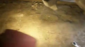 Гольф 5 как задавить задний суппорт.