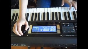 Roland GW-8 USER- PARTE 2