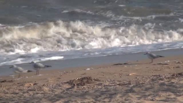 Твоё тело божественный храм. Канал Медитация Релаксация. Стешенко А. Ю. смотреть онлайн