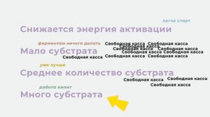 Ферменты ❘ Биохимия