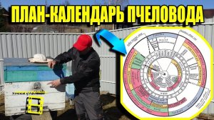 КЛЮЧЕВЫЕ МОМЕНТЫ НА ПАСЕКЕ ВЕСНОЙ. КАЛЕНДАРЬ ПЧЕЛОВОДА. ДЛЯ НАЧИНАЮЩИХ ПЧЕЛОВОДОВ 6-21