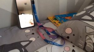 1 часть игрушек