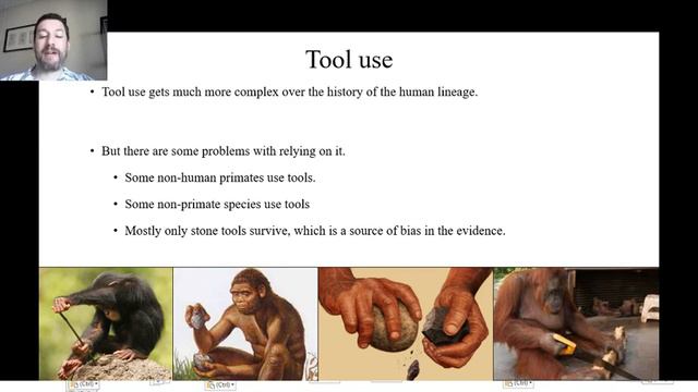 ANTH 110L Exam 3 Review смотреть онлайн