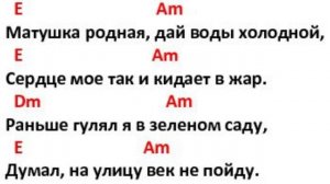 Поём под гитару песню "Выйду на улицу"