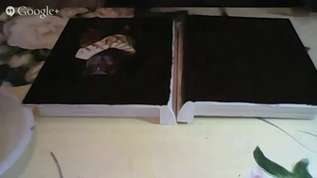 Мастер класс. Декорирование книги-шкатулки. Выступление на конференции Котомания смотреть онлайн