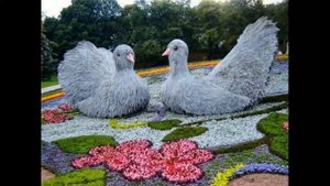 Скульптуры из зелени и цветов