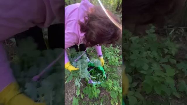 УЧИСЬ САМ СЕБЕ ДЕЛАТЬ ЛЕКАРСТВО