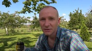 Био препарат от личинок Хруща, медведки, проволочников и колорадского жука. Ого ОБМАН за месяц