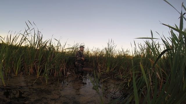 Охота НА УТКУ С СОБАКОЙ (Джек научился подавать). Не успевал перезаряжать ружье. смотреть онлайн