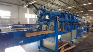 Double shaft multi rip circular headrig Walter TD 500 KBA / TD 630 KBA