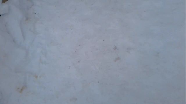 Коротко о моей работе Дворника! ВЛОГ! смотреть онлайн