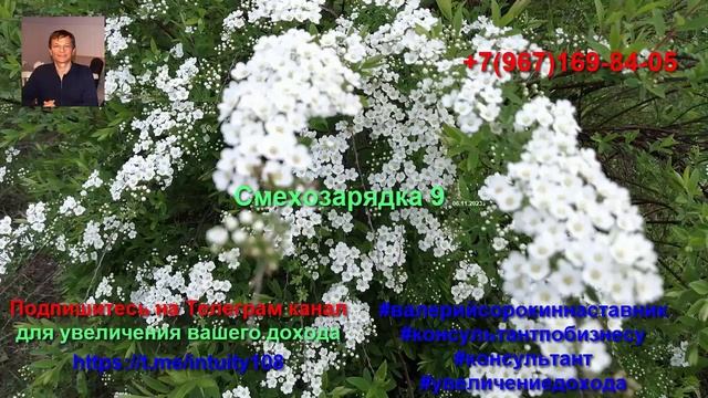 Смехозарядка 9 от 06.11.2023, понедельник