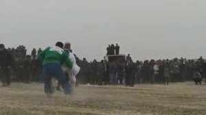 гуштини калон дадахон палвон нохияи бешкент 24 03 2022