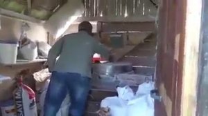 Dusica Stevanovic-Lepa vodenicarka (Live).mp4