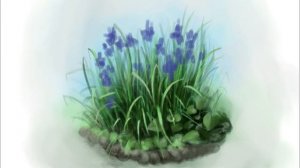 Как нарисовать клумбу с ИРИСАМИ на iPad в Procreate / Digital sketching of iris flowers