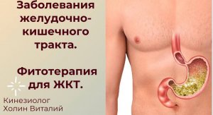 Заболевания желудочно-кишечного тракта. Фитотерапия для ЖКТ.