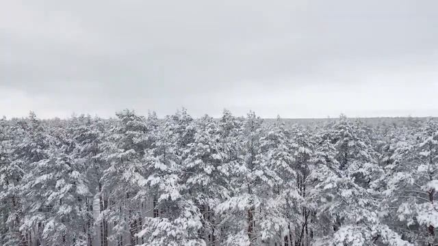 Невероятные пейзажи.ЗИМА. Снегопад. Волшебная Мелодия. Прекрасная музыка для Души....Сергея Чекалин