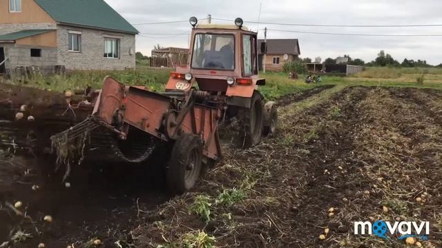 Подготовка к уборке картофеля 12. 09. 2019г смотреть онлайн