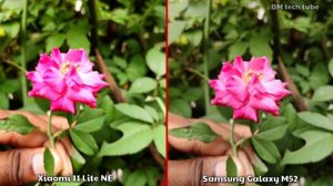 Samsung Galaxy M52 5G VS Xiaomi 11 Lite NE 5G Camera Comparison | Samsung Galaxy M52 Camera Review