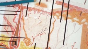 Как убрать веснушки, пигментные пятна на лице как избавиться?