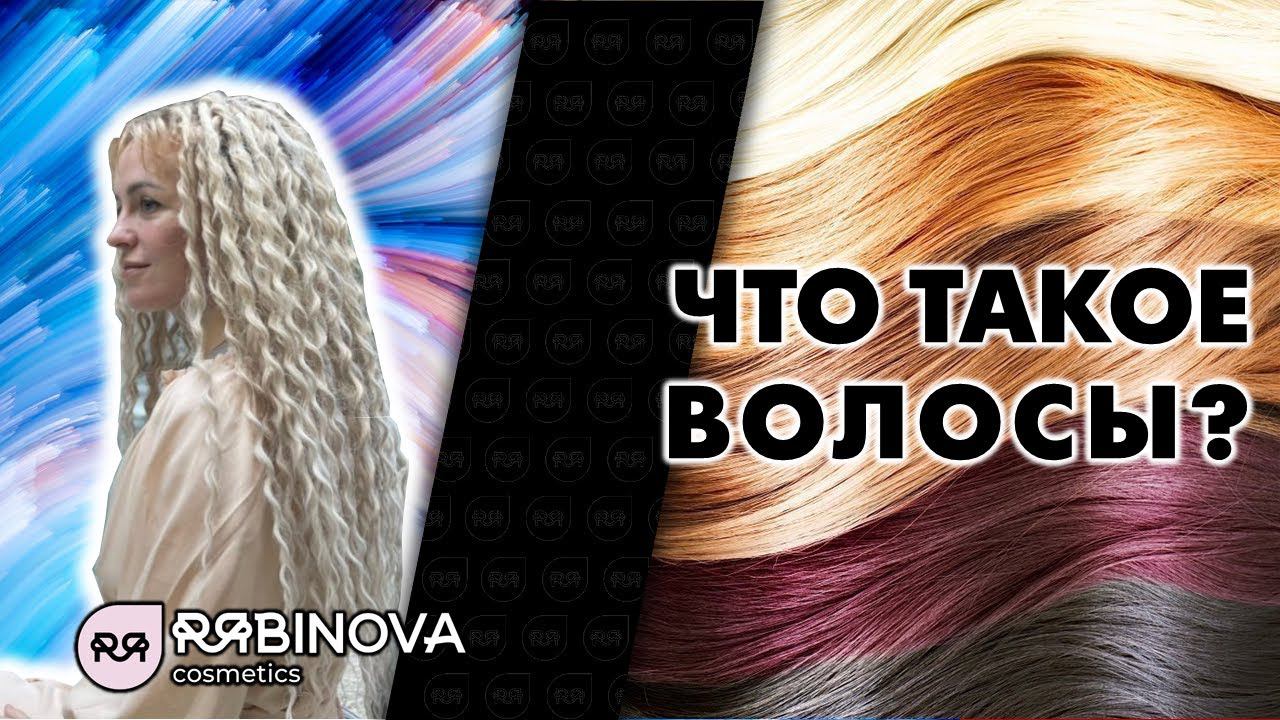Что такое волосы? Гайд для мастеров