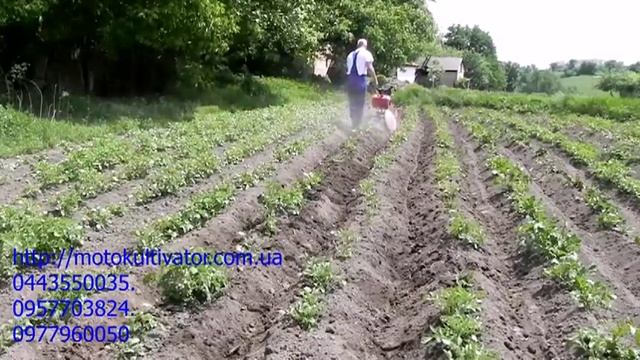 самодельный дисковый окучник Meccanica Benassi RL 7R смотреть онлайн