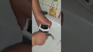 Как быстро почистить окуня .