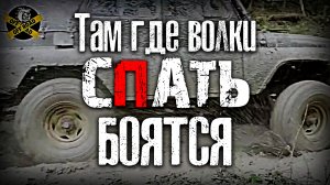 #OFFROAD  Там, где волки сПать боятся!  #AZ13  Шесть бортов! #4x4.
