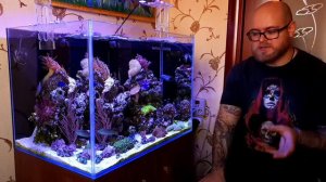 Проблемы в морском аквариуме