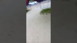 дети обижают маленьких детей.