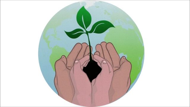 познавательное про цветы смотреть онлайн