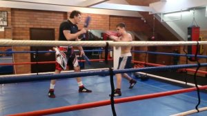 Работа на лапах.