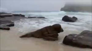 Любовь - путь к победе. Кеннет Хейгин