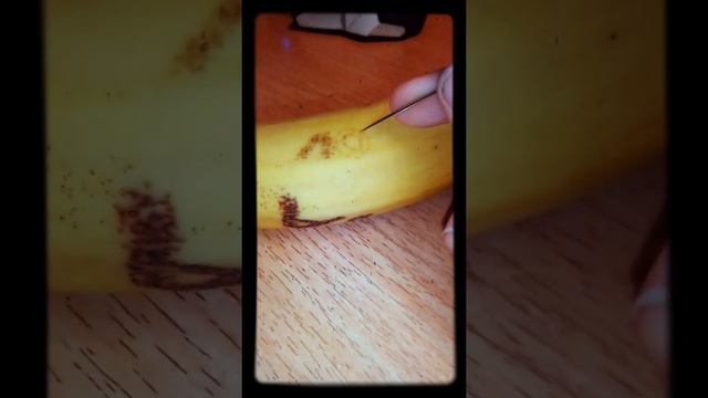 делаю банану татуировку иголка для шитья смотреть онлайн