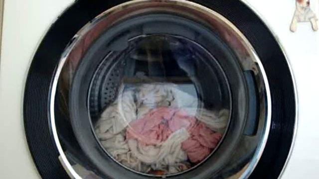 samsung wf8804rpa diamond washing machine - dog towels - prewash main part (7/15) смотреть онлайн