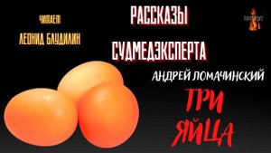 Рассказы Судмедэксперта: ТРИ ЯЙЦА (автор: Андрей Ломачинский).