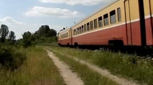 Дизель-поезд Д1-751 + Д1-800 сообщением Кишинев - Окница