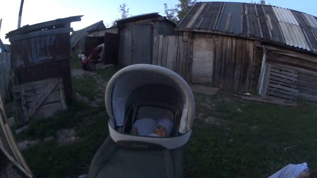 ВлогАндрей с Давидом собрали грибы/На готовили обед на весь день#семьягузели#многодетнаясемья#гриб смотреть онлайн