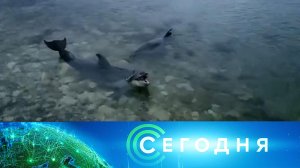 «Сегодня»: 3 ноября 2022 года. 10:00 | Выпуск новостей | Новости НТВ