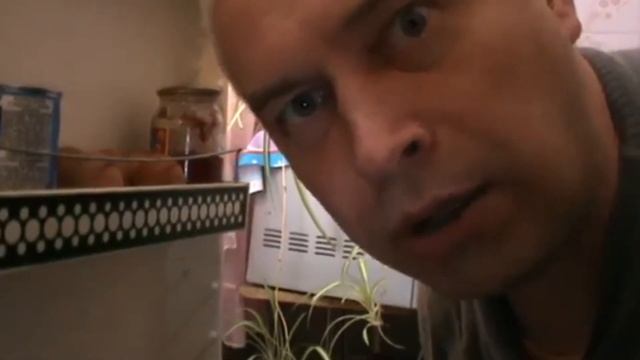 А я не понял , что вы делаете в моем холодильнике   ...   Rytp?