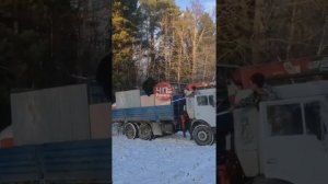 Побег медведя из клетки