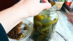 Бочковые огурцы. Ответы на вопросы.