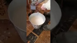 ЗЦМ Биолактис, как принимают телята постарше.