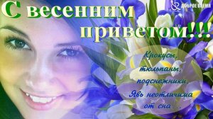 КРАСИВЫЕ ПЕСНИ ОБО ВСЁМ...С Весенним Приветом!!