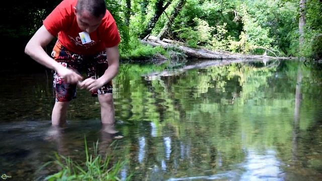 Теодоксусы: параметры воды в биотопе? смотреть онлайн