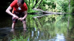 Теодоксусы: параметры воды в биотопе?