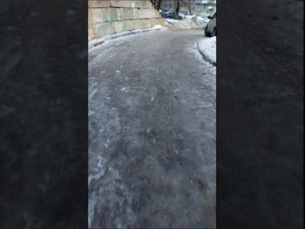 После Ледяных Дождей...