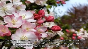 В цветах яблони черви: что делать