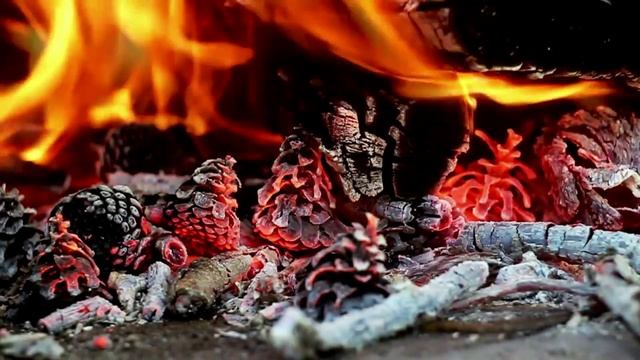 "УЖАС ИЗ ЛЕСА" страшные истории про лес. Лес. Страшилки. Истории на ночь. Крипипаста. Ужасы. Деревн